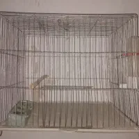 قفس پرنده