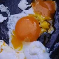 فروش ۱۳ عدد مرغ تخمگذار