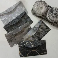 پاکت پول و سکه
