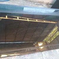 هود