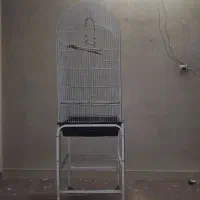 قفس پرنده