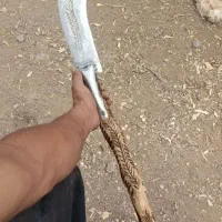 +98|کوهنوردی و کمپینگ|مشهد, نوده|دیوار