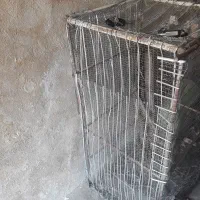 فروش لانه مرغ