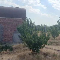 فروش باغ 1060متری در شهر توریستی هیر