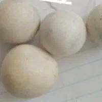 فروش سنگ آسیاب
