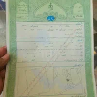 استخدام نیرو خانم