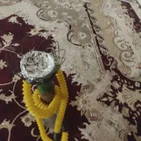 قیلون|کوهنوردی و کمپینگ|دلوار, |دیوار