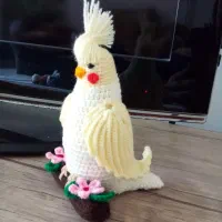 عروس هلندی و طاووس