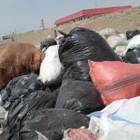 ضایعات مشما