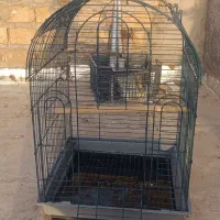 قفس کلبه ای وجفت کن قناری