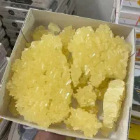 نبات چوبی تخته شاخه یزد