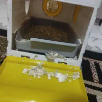 لانه پرنده و پوشال