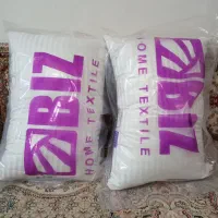 بالش طبی