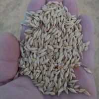 جو آبی|عمده‌فروشی|خنداب, |دیوار