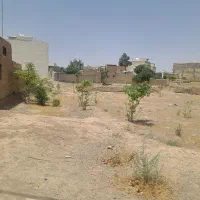 زمین-با-پروانه-ساخت-خیابان-عشوریون
