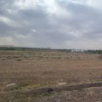 زمین-فروشی-لنگرود-نزدیک-جاده-اصلی