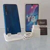 Y 8 p