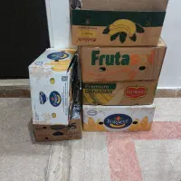 کارتن موزی