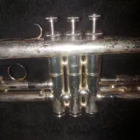 ترومپت یا ماها چینی