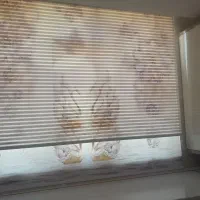 پرده زبرا