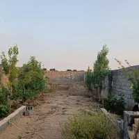 زمین-730-متری-چهار-دیواری-نبش-خیابان-با-درخت