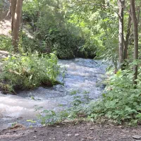طبیعت گردی