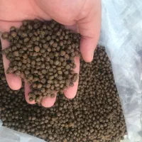 غذای ماهی