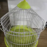 قفسه پرنده