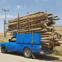 فروش خرید تیرچوب سقفی اتاقی وضایعاتی چوب تروخشک