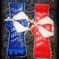 هوگو الکترونیکی