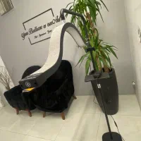 مون لایت نگینی