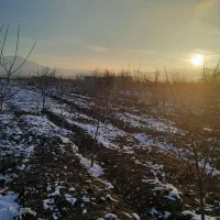 ۷۰۰ متر باغ ، روستای سرچشمه ، تجربه امنیت و آرامش