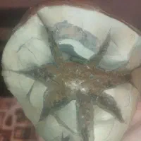 سنگ خاص