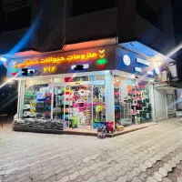 تخصصی  لوکس وی ای پی پت شاپ حسینی مشهد