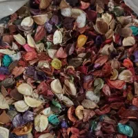 فروش گل خشک تزئینی