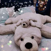 خرس قطبی با توله خرس