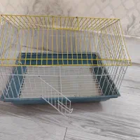 قفس پرنده