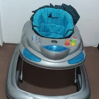 روروئک آبی سالم