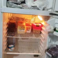 یخچال فیلور