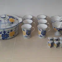 سرویس گل پنبه ای (فروش فوری)