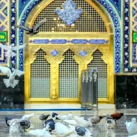 تور سفر مشهد +٪ سفری برای تمام فصول