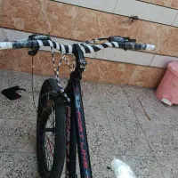 دوچرخه 24