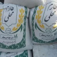 برنج هاشمی و طارم محلی