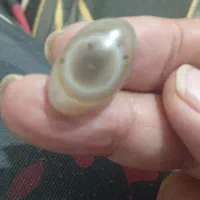باباقوری قدیمی چهار دونه