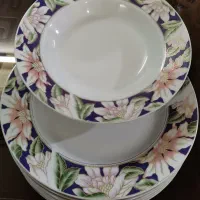 ظروف غذاخوری چینی