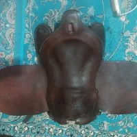 زین اسب عبدالخالق ووایت هورس کانادایی دهنه