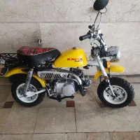 موتور کویر m1