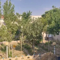 باغچه-ویلایی-ملک-آباد-املاک-مدرن