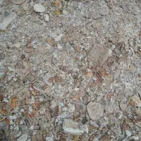 نان خشک تمیز ویک دست مخصوص دام