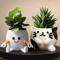 گلدان های خندان و گلدان کیتی/گلدان پینترستی/ هدیه